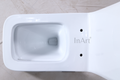 Inart Rimless 6D Flushing Syphonic One Piece Ceramic Western Floor Mounted One Piece Water Closet Western Toilet/Commode/European Commode - InArt-Studio